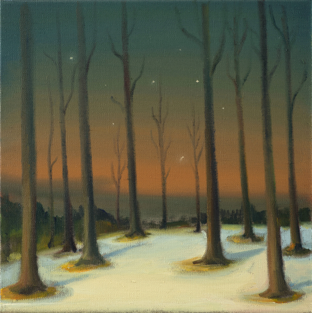 Hvězdná noc, 2021, 35 x 35 cm, olej na plátně